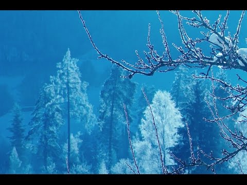 Reinigungsgebet mit Anton Styger