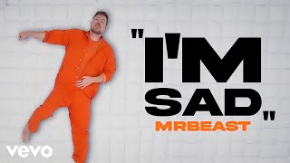 MrBeast - I'm Sad (Music Video)