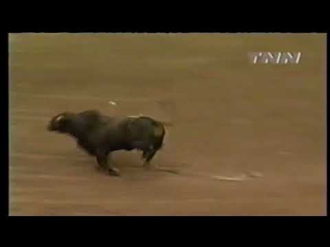 Viper bucks Don Ray Howard - 00 PBR Salt Lake City