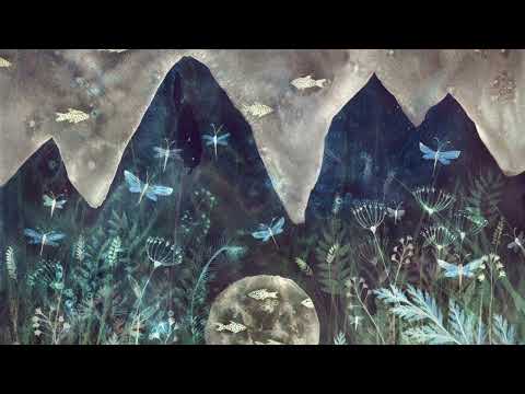 Gooral - Feeling Is Healing Ft. SHAMANKOVO