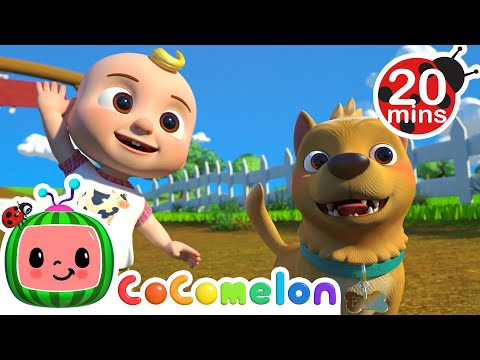 Bingo (Farm Version) 20 MIN LOOP | CoComelon Nursery Rhymes & Kids Songs