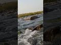 Tu Mile Dil Khile Short Pasoori Cokestudio Nature Youtubeshorts