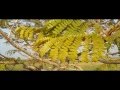 Unhinged Complete Short Film