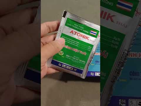 phân biệt Atonik nhái trên thị trường. anh em cẩn thận