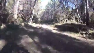 Trebisacce - MTB Sila