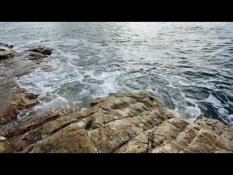 Thumbnail of the embedded YouTube video