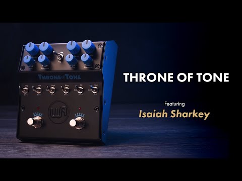 Warm Audio WA-TOT Throne Of Tone image 4