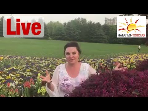 ������� ������� - ����������� 