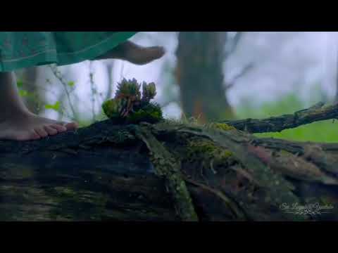 Nazriya New Album Song | koode Aararo | Pookale Satru oyivedungal | New Tamil whatsapp Status