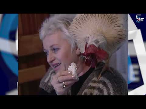 Peva i jede slaninu, petao Ptičica - Borino 5kazanje