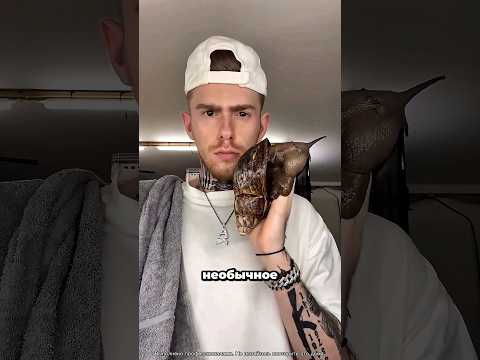 Самое необычное хобби, которое вы увидите! 🤯