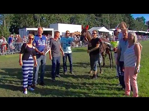 Dylan F Boko & Bas Crebas winnen op de drafbaan van Joure - 10 juli 2015