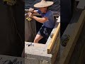 installing cellar doors and battling zombies