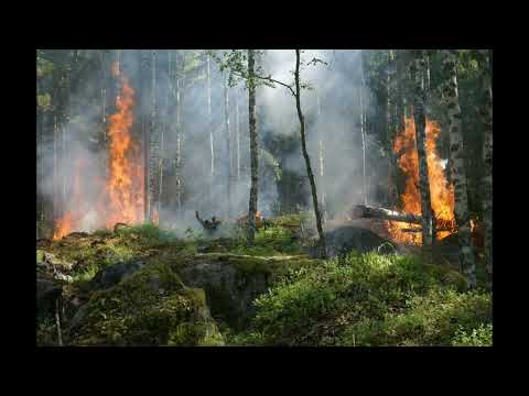 Feuer verbrannt Rap (MastaMonti, Icekimo & Das Wenschen Kollektiv 