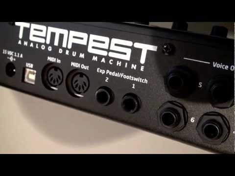 TEMPEST!  Analog Drum Machine - Part A - Unboxing - At NOISEBUG Synthesizer Showroom