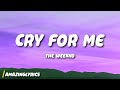 The Weeknd Cry For Me