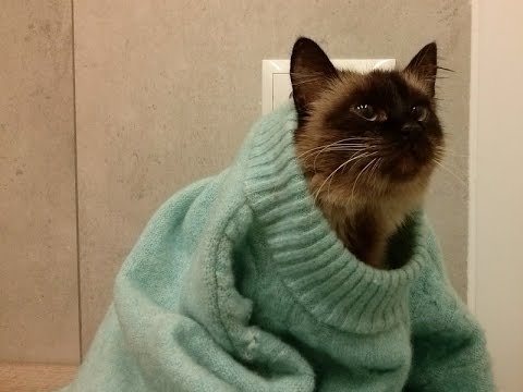 Palucha opona Irkutske Chirurgiczne usunięcie kości na wielkiej cenie toe