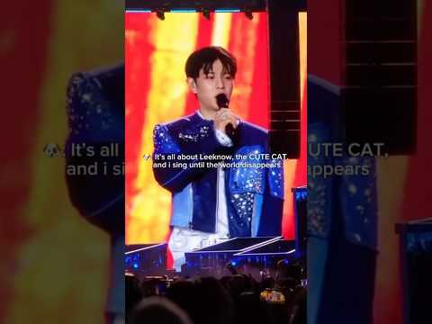 Seungmin and his CUTE CAT,Leeknow singing together forever #cinema #leeknow #seungmin #straykids