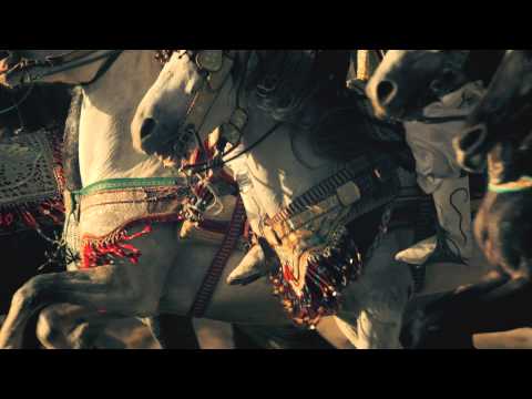 Lipizzaner White Beauty A Stallion's Life