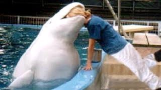 WATER ANIMALS that will make you WET YOUR PANTS FROM LAUGHING - Funny ANIMAL compilation