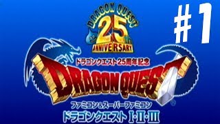 【DQ】ドラゴンクエスト１　ゲーム実況(Wii版)＃01(DRAGON QUEST)
