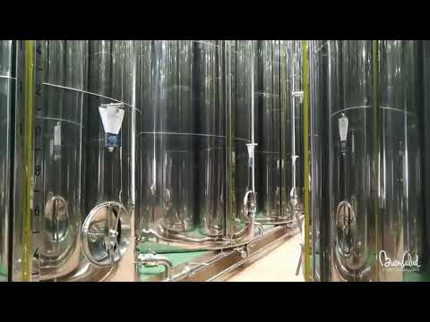 Producto - Buensalud Selección Frantoio non filtrée 500 ml