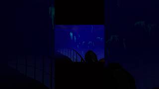 The Secret Phasmophobia Lighthouse (REVEALED)