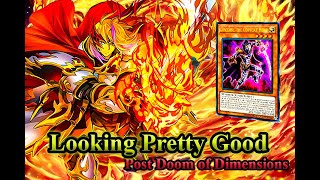 Infernoble Knight Deck And Duels Post Doom of Dimensions Broken Support!