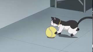 Download lagu Boruto Eps.104 Sub Indo - Si Kecil Teman Sekamar _ Part 78 mp3