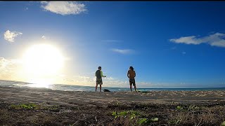 Wu-Tang Clan - Sound the Horns - POV longboard surfing - GoPro Hero8 - HauBush - Hawaii