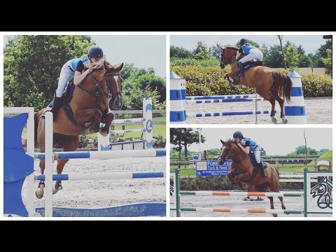 download lagu mp3 mp4 Dog Grooming Mullingar, download lagu Dog Grooming Mullingar gratis, unduh video klip Dog Grooming Mullingar