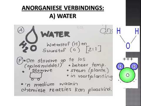 LEWENSWETENSKAPPE GRAAD 10: 20 April 2020 - periode 7 (20107)