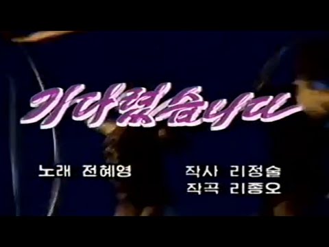 Pochonbo Electronic Ensemble - 기다렸습니다 (We Have Waited for You)