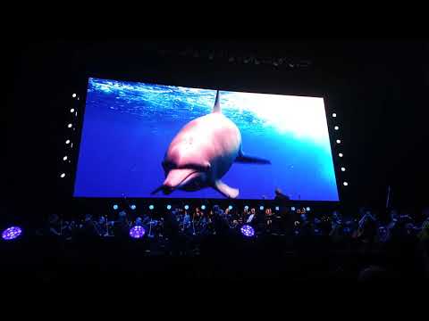 BLUE PLANET 11 LIVE CONCERT AT BELFAST! 1