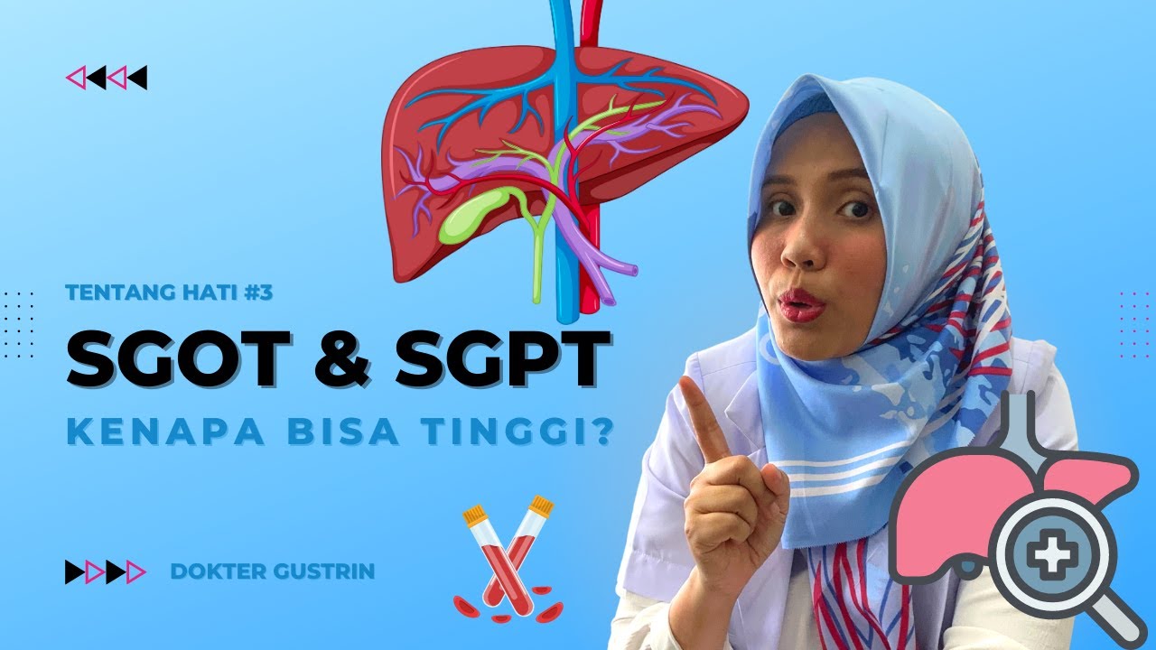 HATI #3| SGOT & SGPT Kok Bisa Tinggi