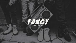 Fun Boom-Bap Rap Beat / Tangy (Prod. By Syndrome)