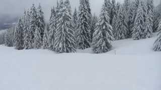 preview picture of video 'Almost white out Morillon. Grand Massif  March 2014'
