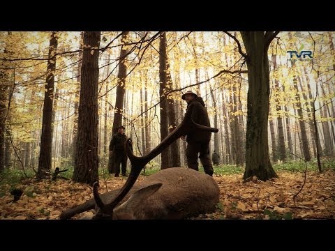 Darz Bór odc. 70 - Hubertus Spalski 2013 cz. 1