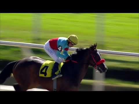 220813 c01 FRENCH AVENUE