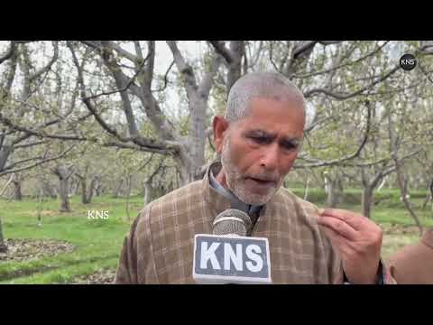An intense hailstorm damaged orchards at a crucial flowering stage in Shopian, raising fears of heavy crop loss. Authorities have started assessment, while distressed farmers are demanding compensation