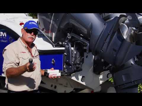Best Easy and Affordable Transom Saver
