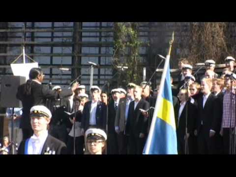 Glad såsom fågeln i morgonstunden