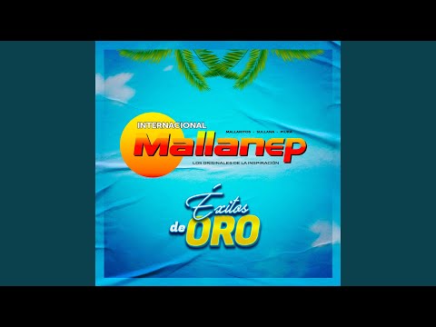 Donde Esta El Amor - Internacional Mallanep