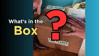 Unboxing an Aquarium Gardens Delivery