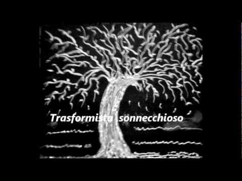 comment traiter candida krusei