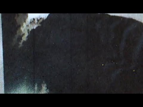 DNTWRRY - lich (Official Visualizer)