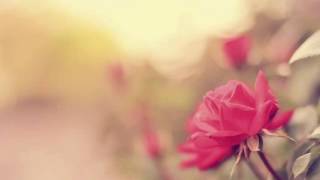 Tay Schmedtmann - Lauf Baby Lauf (Cover by Leonie)