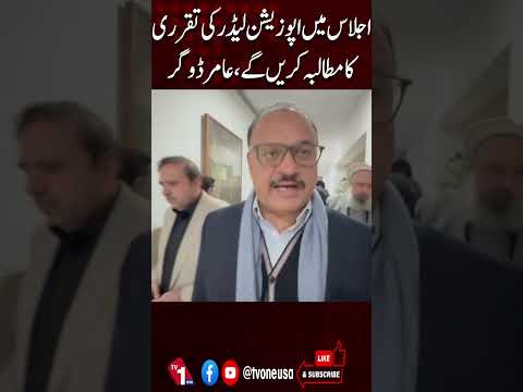 اسمبلی میں اپوزیشن لیڈر کے تقرر کا مطالبہ کریں گے، عامر ڈوگر