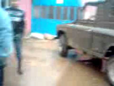 inundati zlatita varianta funny