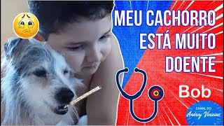 MEU CACHORRO EST MUITO DOENTE Bob